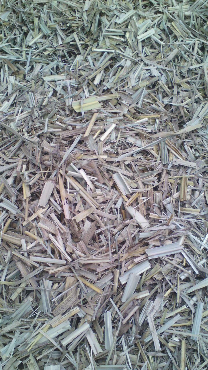 Mulsa Sugar Cane Top